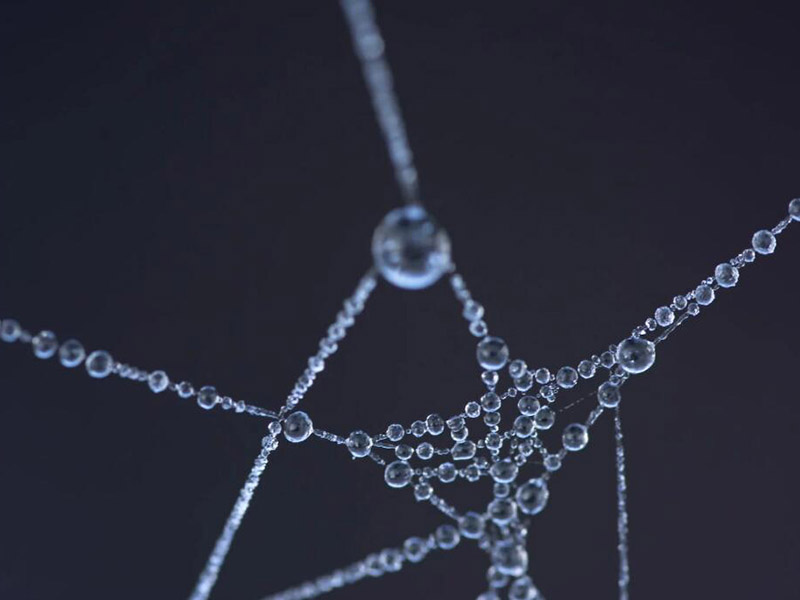 自來(lái)水錳超標(biāo)的危害