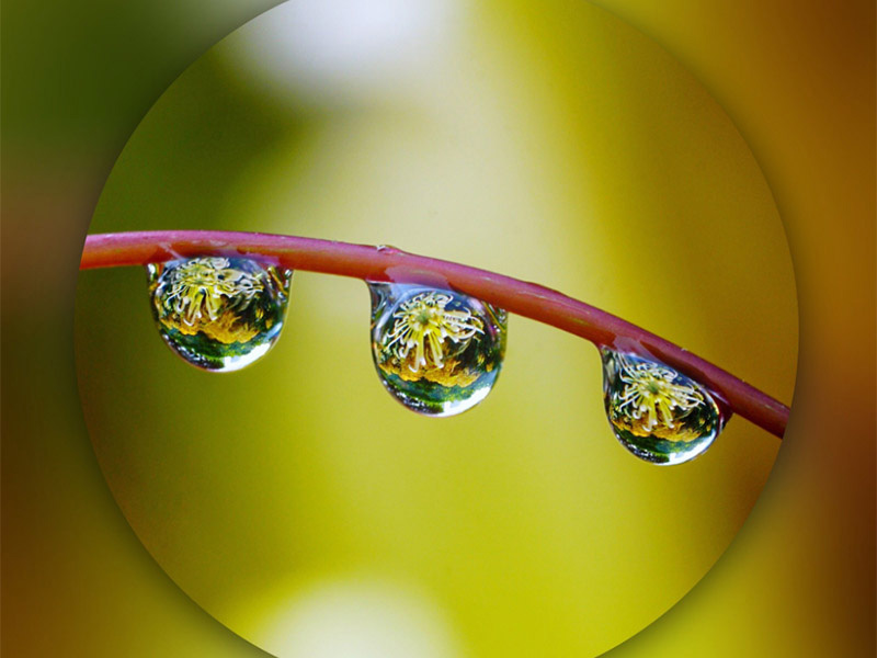 總有機(jī)碳TOC分析儀檢定規(guī)程