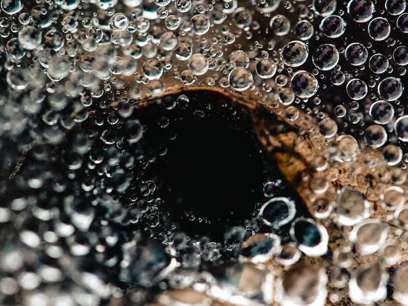 BOD快速測定儀主要功能（BOD快速測定儀的應用）