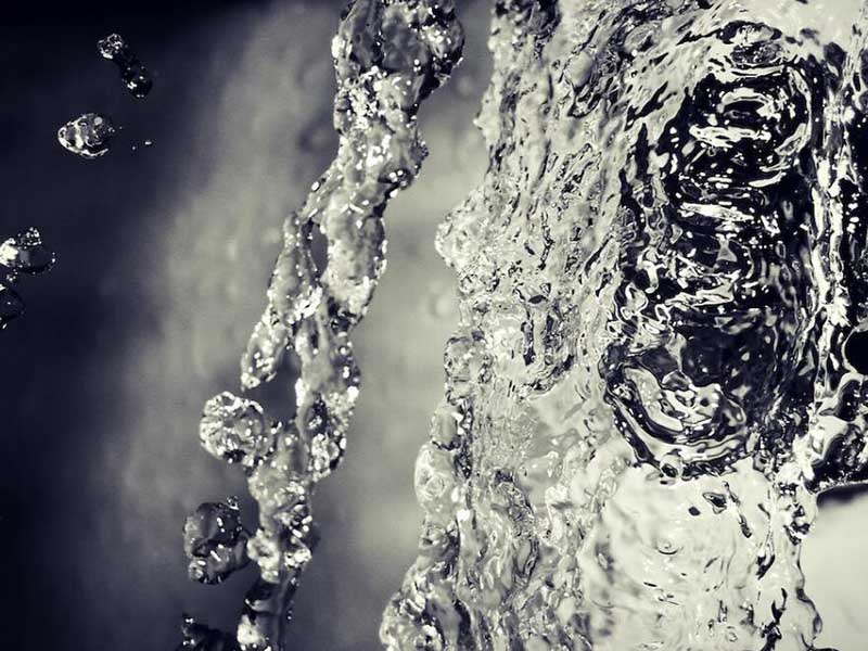 水質大腸菌群是什么