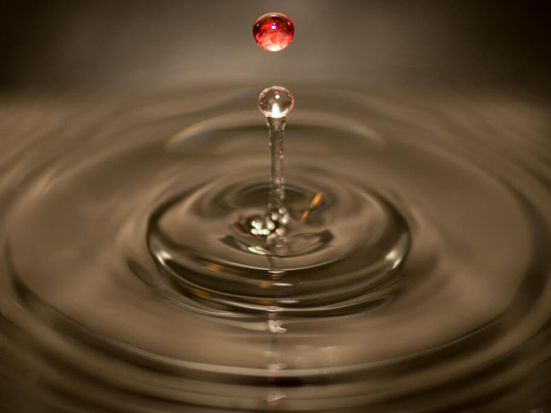 水質微生物檢測儀工作原理