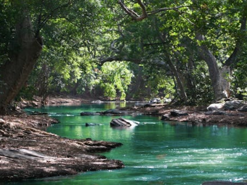 水質(zhì)監(jiān)測(cè)指標(biāo)中BOD與COD關(guān)系