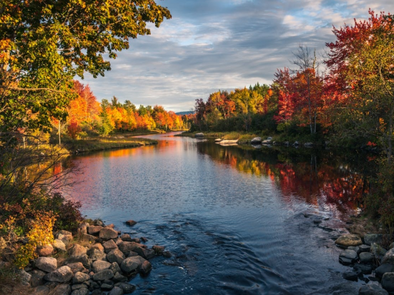 地表水檢測的重要性（地表水檢測方法）