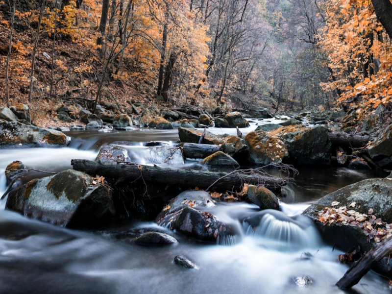 總有機(jī)氮檢測(cè)的意義（總有機(jī)氮分析儀常見問題）