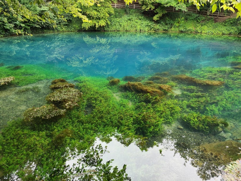 微型水質(zhì)在線自動(dòng)監(jiān)測(cè)站主要功能與特點(diǎn)（微型水質(zhì)在線自動(dòng)監(jiān)測(cè)站應(yīng)用領(lǐng)域）