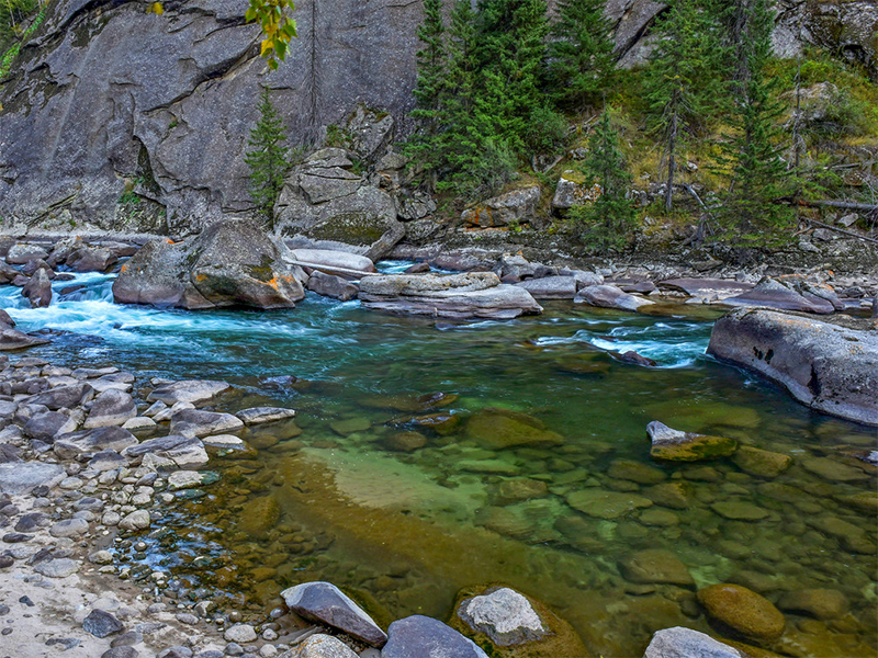 礦泉水的好處（純凈水和礦泉水的區別）
