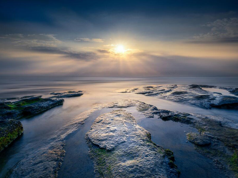 麥氏比濁儀工作原理（麥氏比濁儀使用方法）