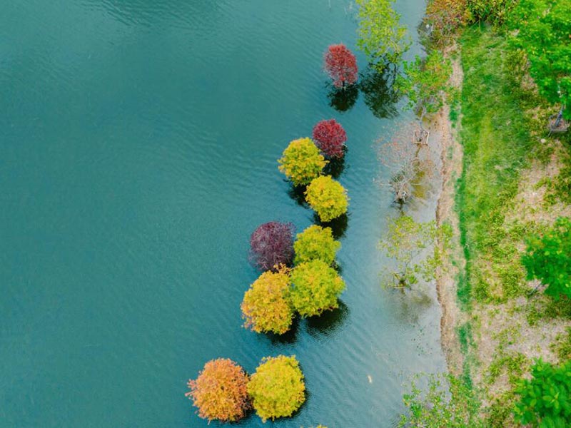氯離子檢測儀檢測原理（氯離子檢測儀的應用）