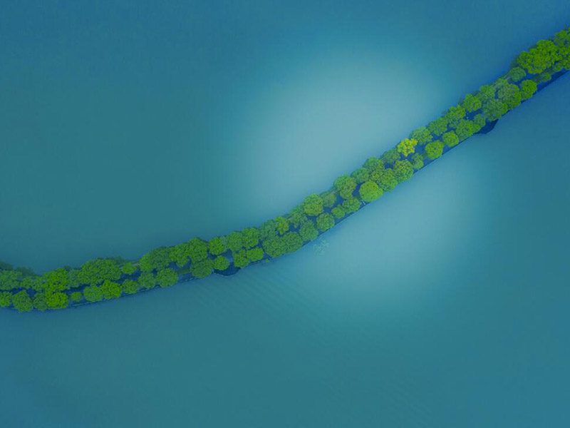 氰尿酸檢測(cè)儀檢定規(guī)程（氰尿酸檢測(cè)儀?檢定步驟）