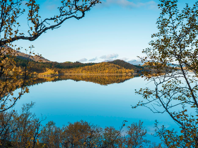 污水氨氮的測定方法