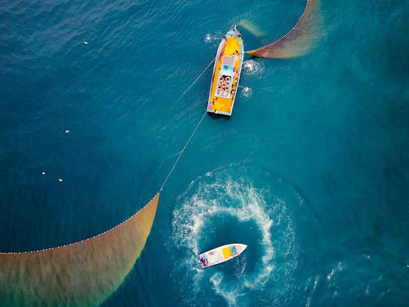 高精度溶解氧分析儀廠家及應用