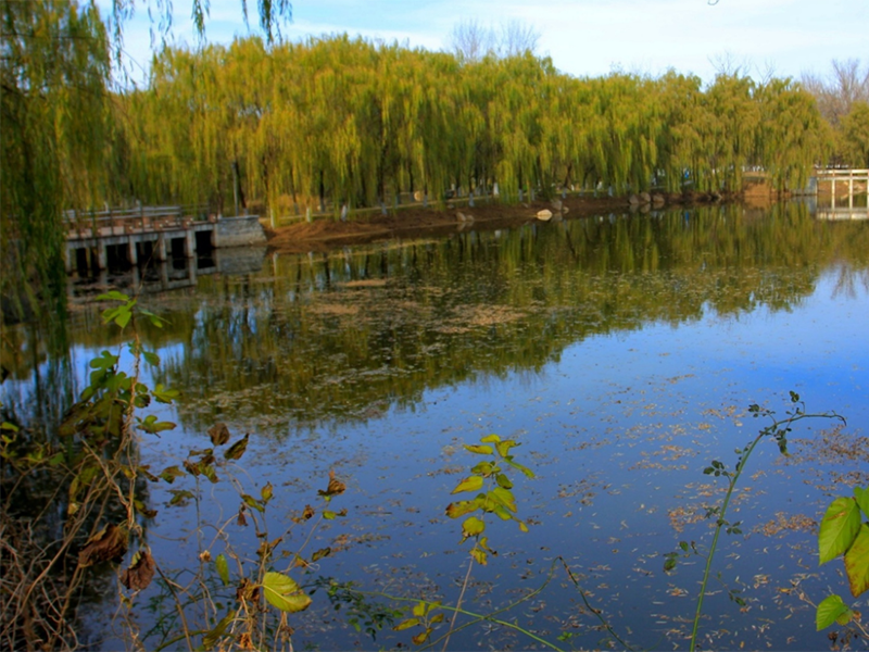 ORP在污水處理中的應用