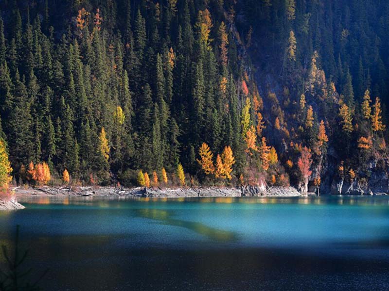 水質六價鉻檢測儀類型與功能