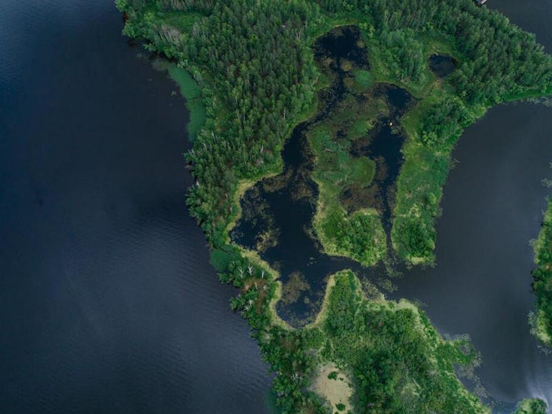 水質在線監測系統在水產養殖中的作用