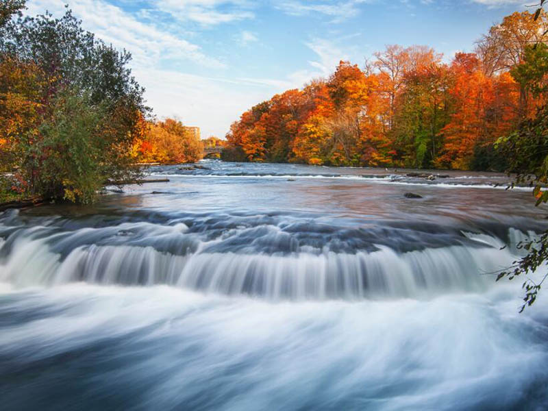 溶解氧的來源與消耗