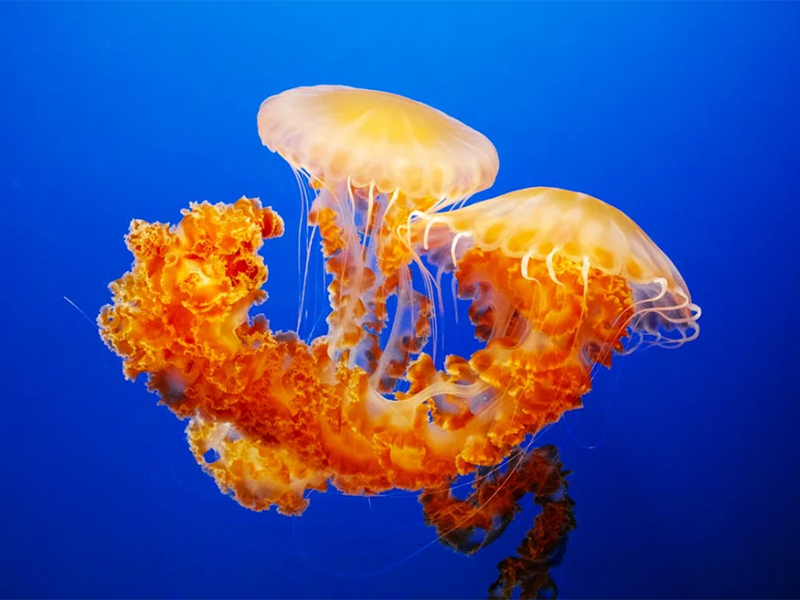 多參數水質在線分析儀的安裝規范（多參數水質在線分析儀通訊設備配置）