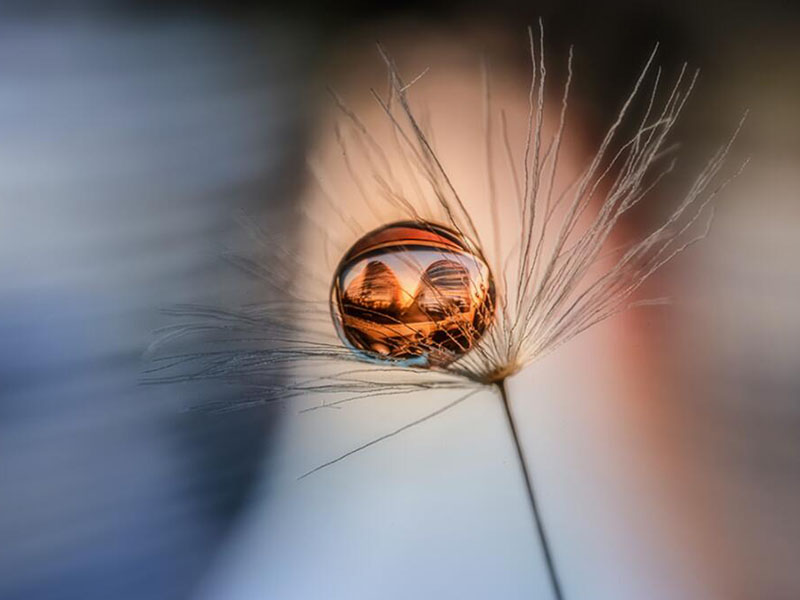 鍋爐水中鐵離子檢測標準