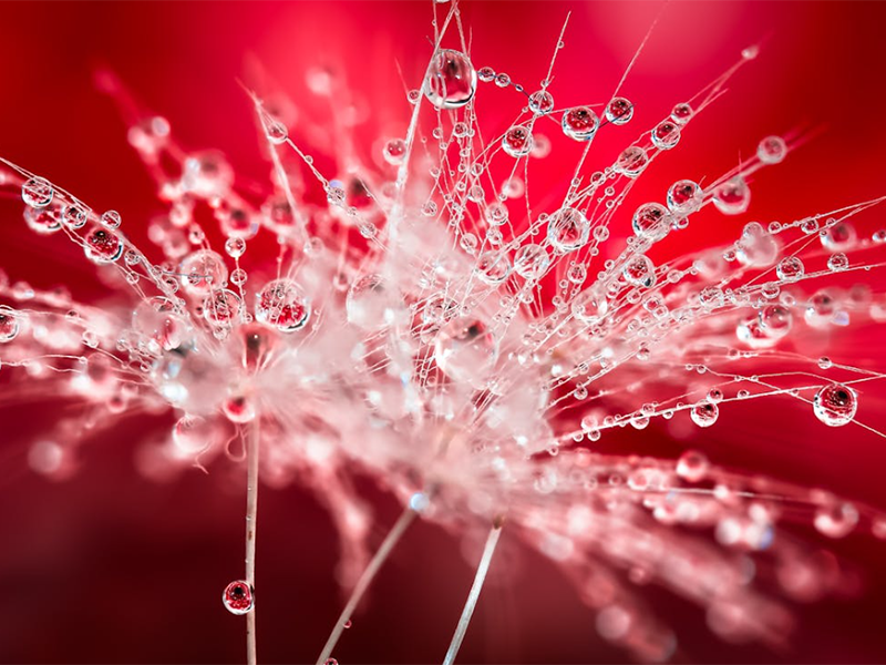 水質大腸桿菌檢測方法有哪些