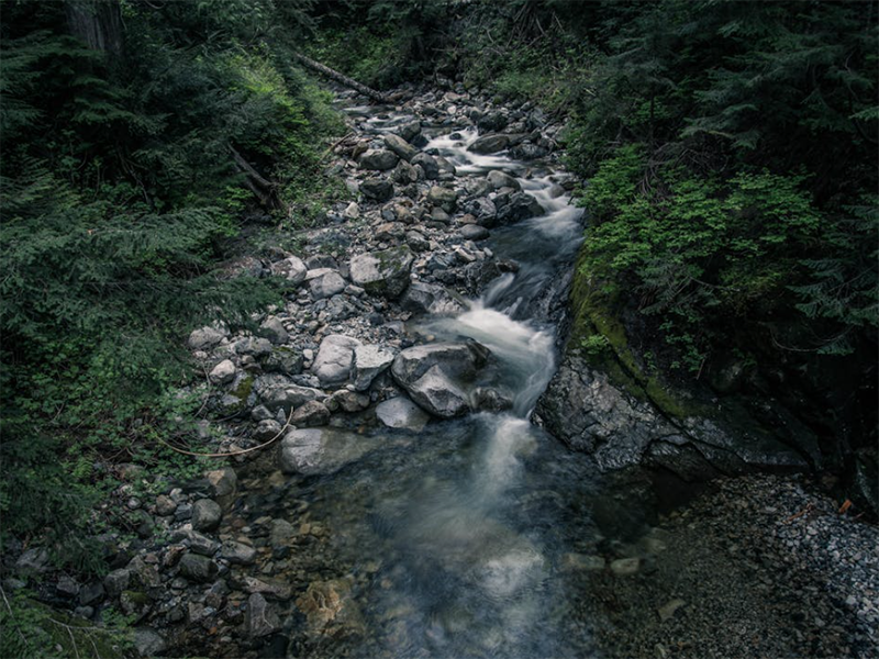 COD快速測定儀應用及工作原理（COD快速測定儀操作步驟）