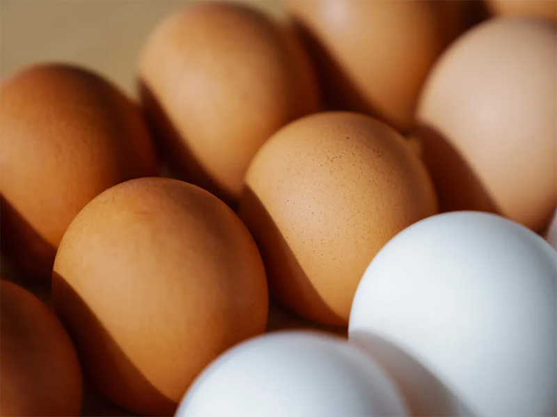 雞蛋獸藥殘留檢測儀優勢特點（雞蛋獸藥殘留檢測儀功能介紹）