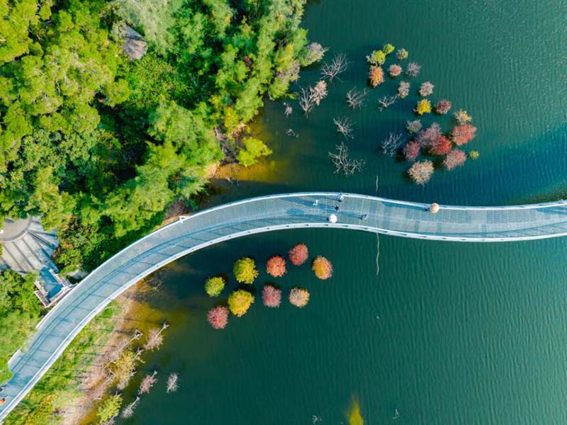 葉綠素a檢測儀好用嗎（水質葉綠素a檢測儀校準流程）