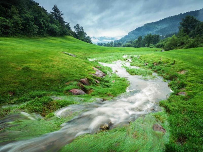 氨氮與總氮的區別與轉化