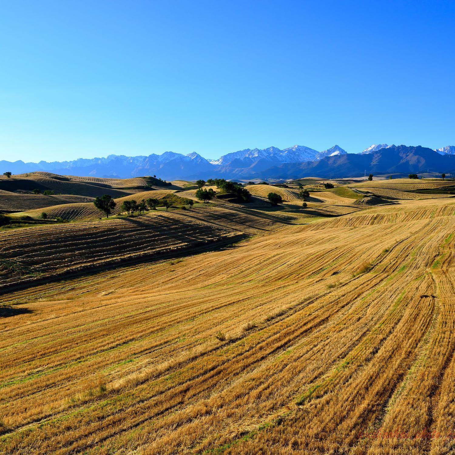 邯鄲市臨漳縣農(nóng)業(yè)農(nóng)村局購(gòu)進(jìn)霍爾德農(nóng)殘檢測(cè)儀