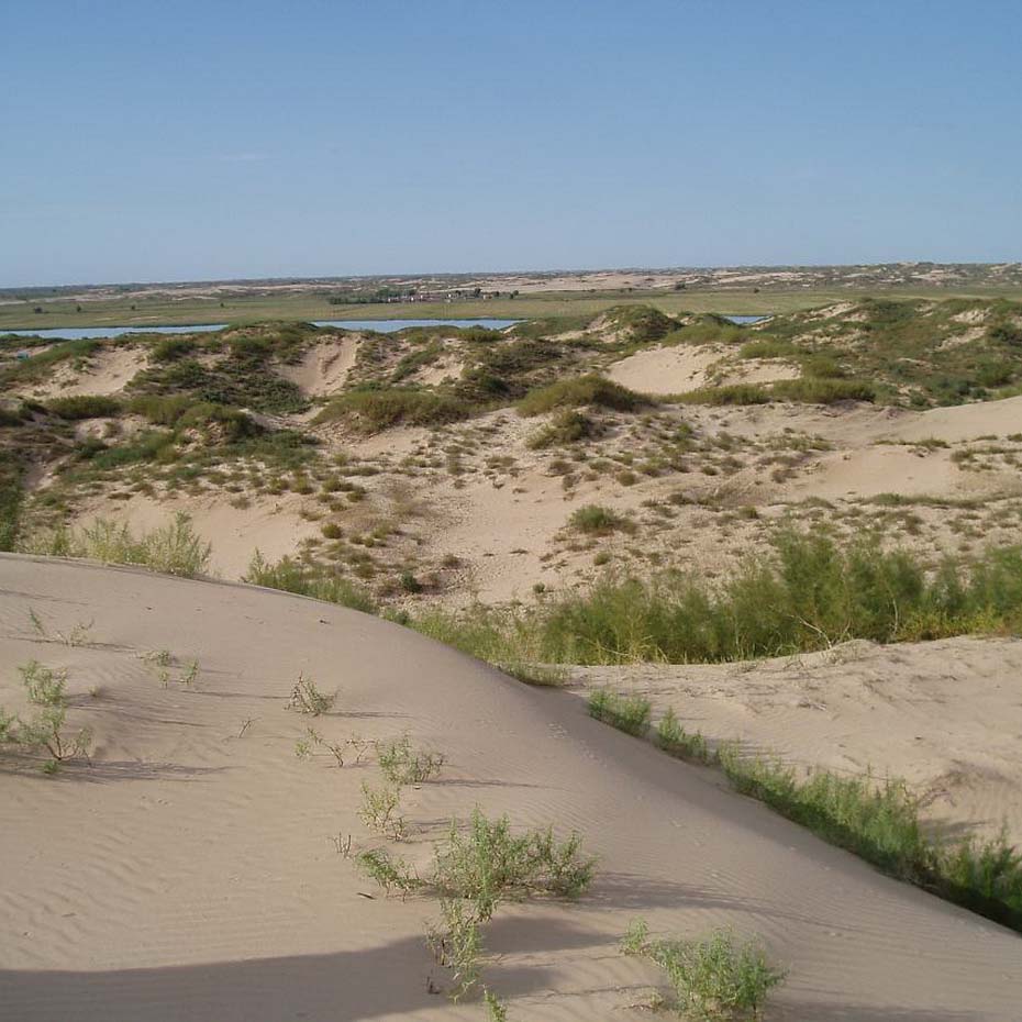 土壤檢測儀分析土地荒漠化原因