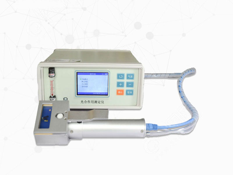 植物光合作用推動農業發展，為農業助力
