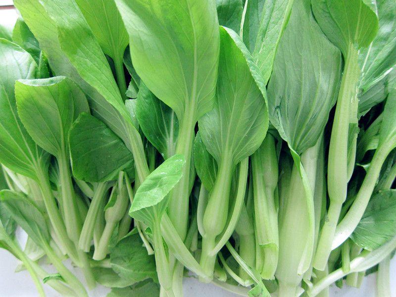 蔬菜農殘檢測設備,讓蔬菜更“綠色” 蔬菜農殘檢測設備,讓蔬菜更“綠色”