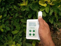 HED-YA植物葉綠素儀，為植物的健康狀況做檢查