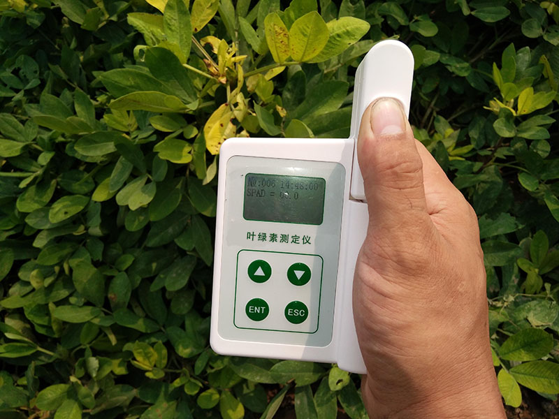 HED-YA植物葉綠素儀，為植物的健康狀況做檢查