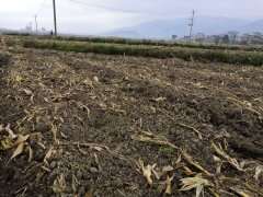 檢測土壤中的重金屬需要什么？