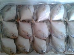 水產品快速檢測系統可檢測哪些？